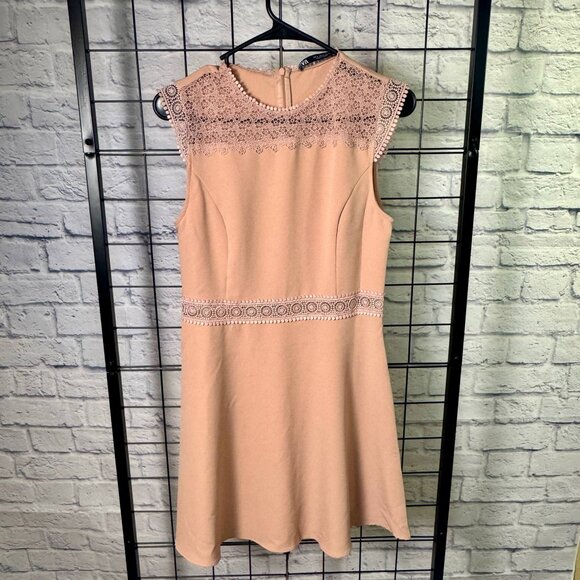 ZARA Blush Pink Lace Yoke Sleeveless Fit & Flare Dress | Medium - Picture 2 of 9